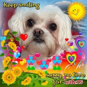 Meet your Posher, Yee